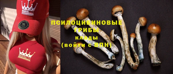 тгк Алексеевка
