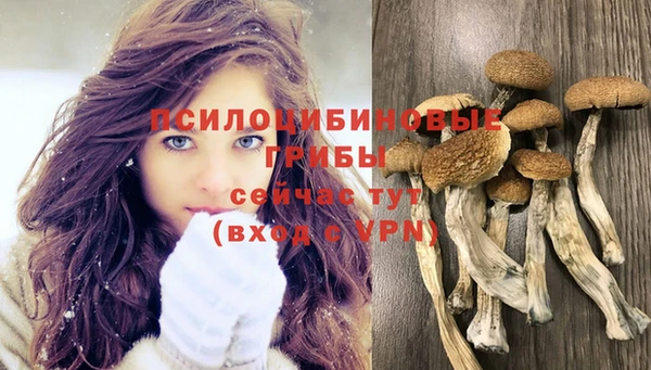герыч Аркадак