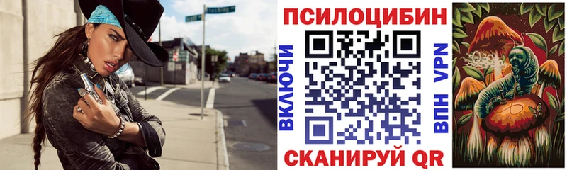 Псилоцибиновые грибы мицелий  Волхов 