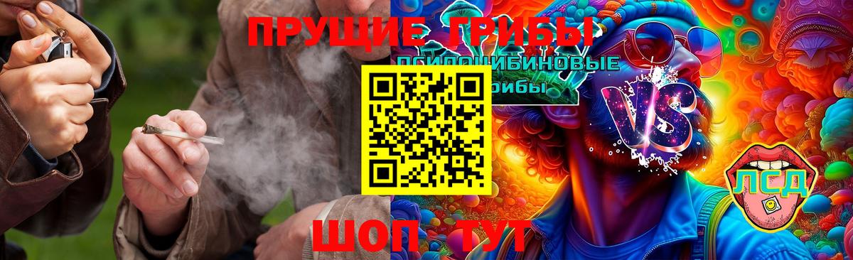 Псилоцибиновые грибы Cubensis  Вход с VPN  Волхов 