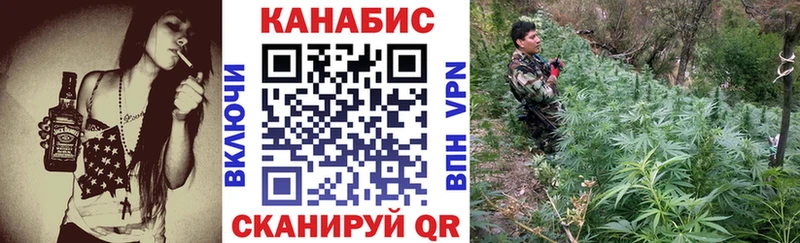 Бошки марихуана индика цена Волхов