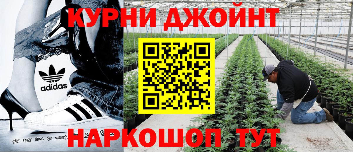 МАРИХУАНА MAZAR  Шишки марихуана AK-47  Вход с VPN  Шишки марихуана гибрид  Волхов 